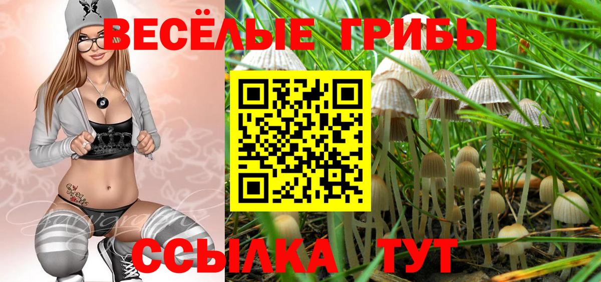 Псилоцибиновые грибы MAGIC MUSHROOMS Борзя