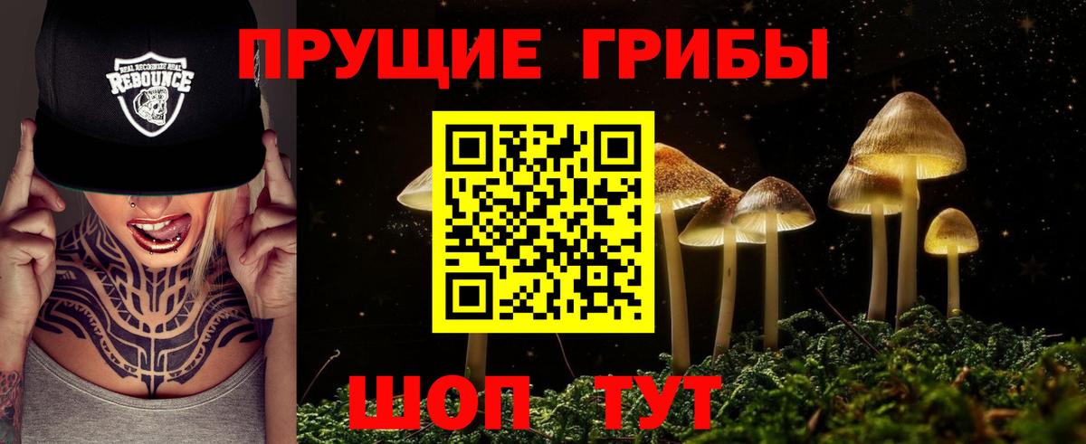 Борзя  Псилоцибиновые грибы ЛСД  Вход с VPN 